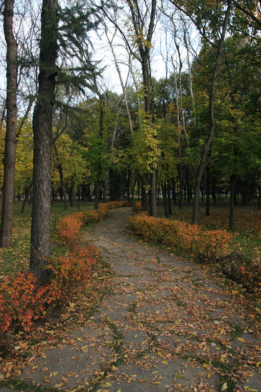 Дорога в осень