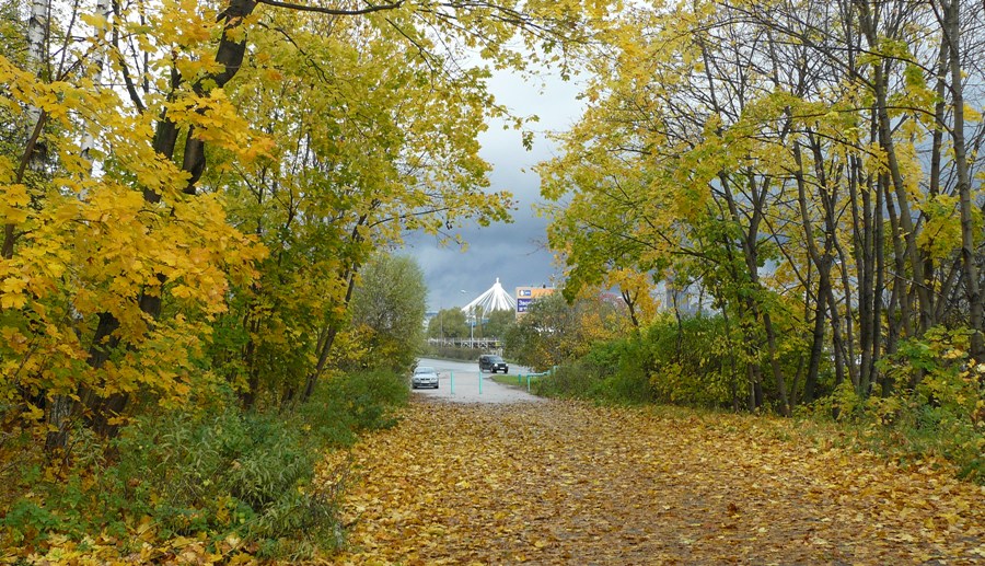 Осень в городе