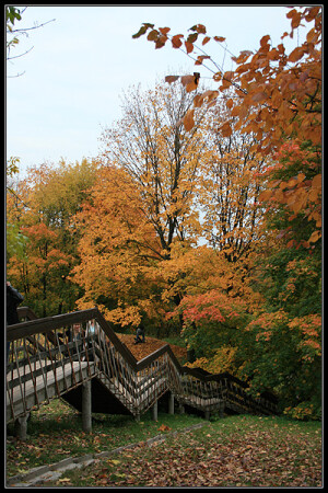Золотая осень в Коломенском