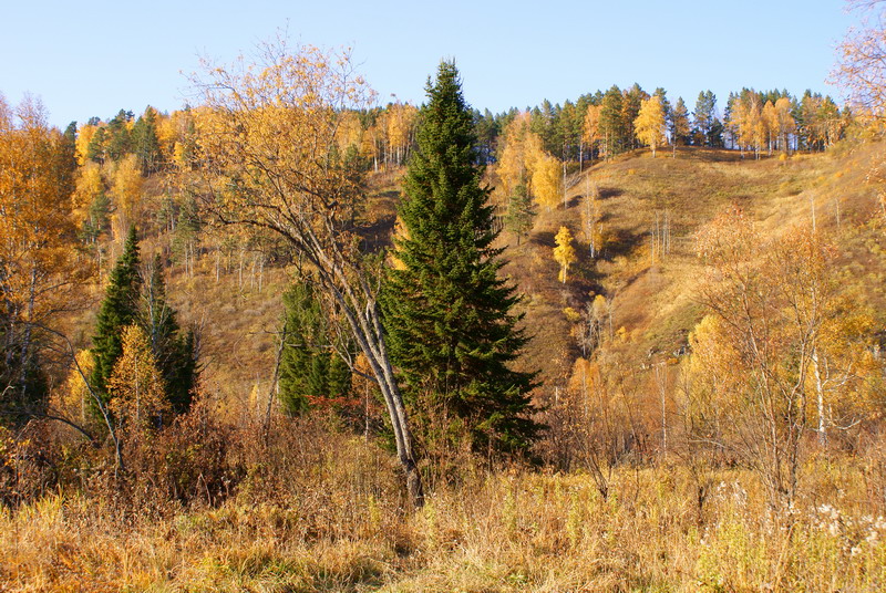 Золотая осень