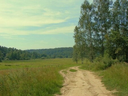 русский дол