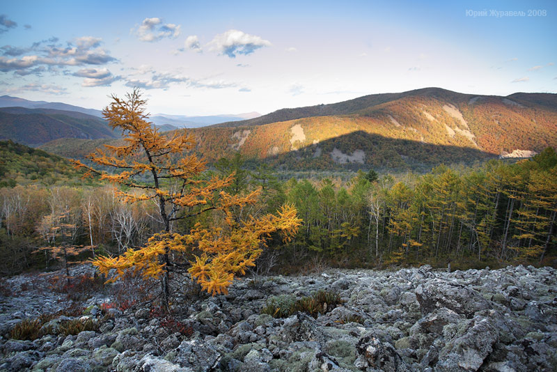 Краски осени