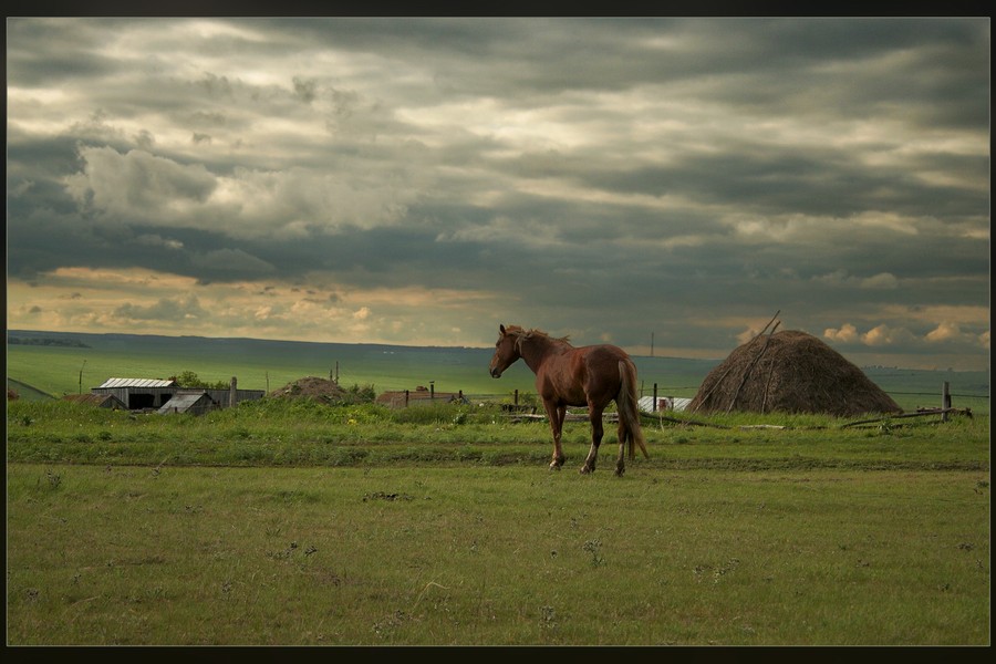 ..Нашаместная зарисовка..