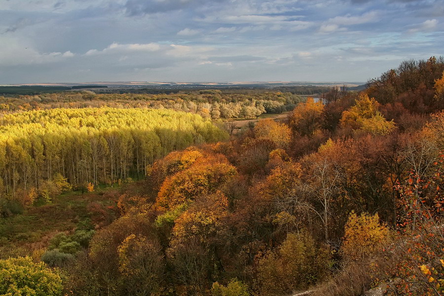 Золотая осень