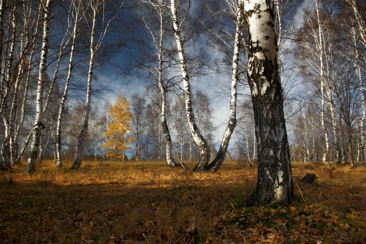 Середина осени