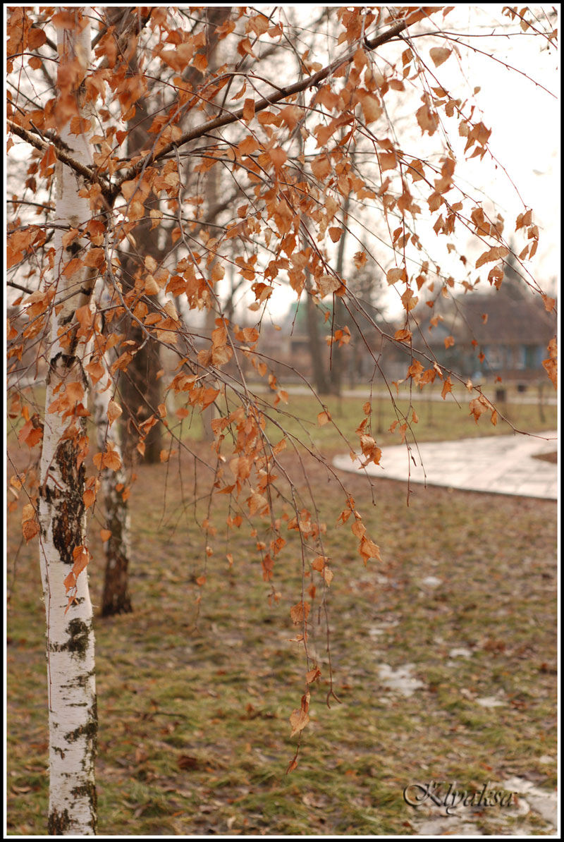 Мода прошлого сезона