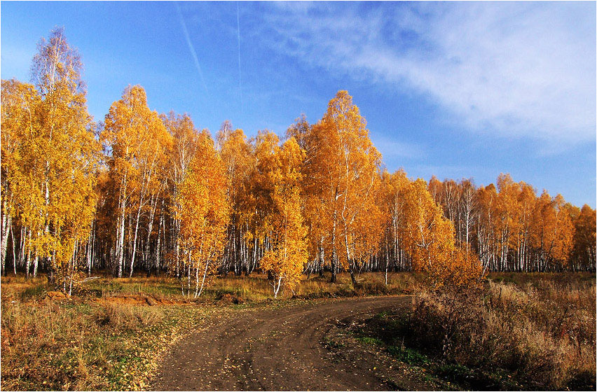 Пройтись по осени...(3)