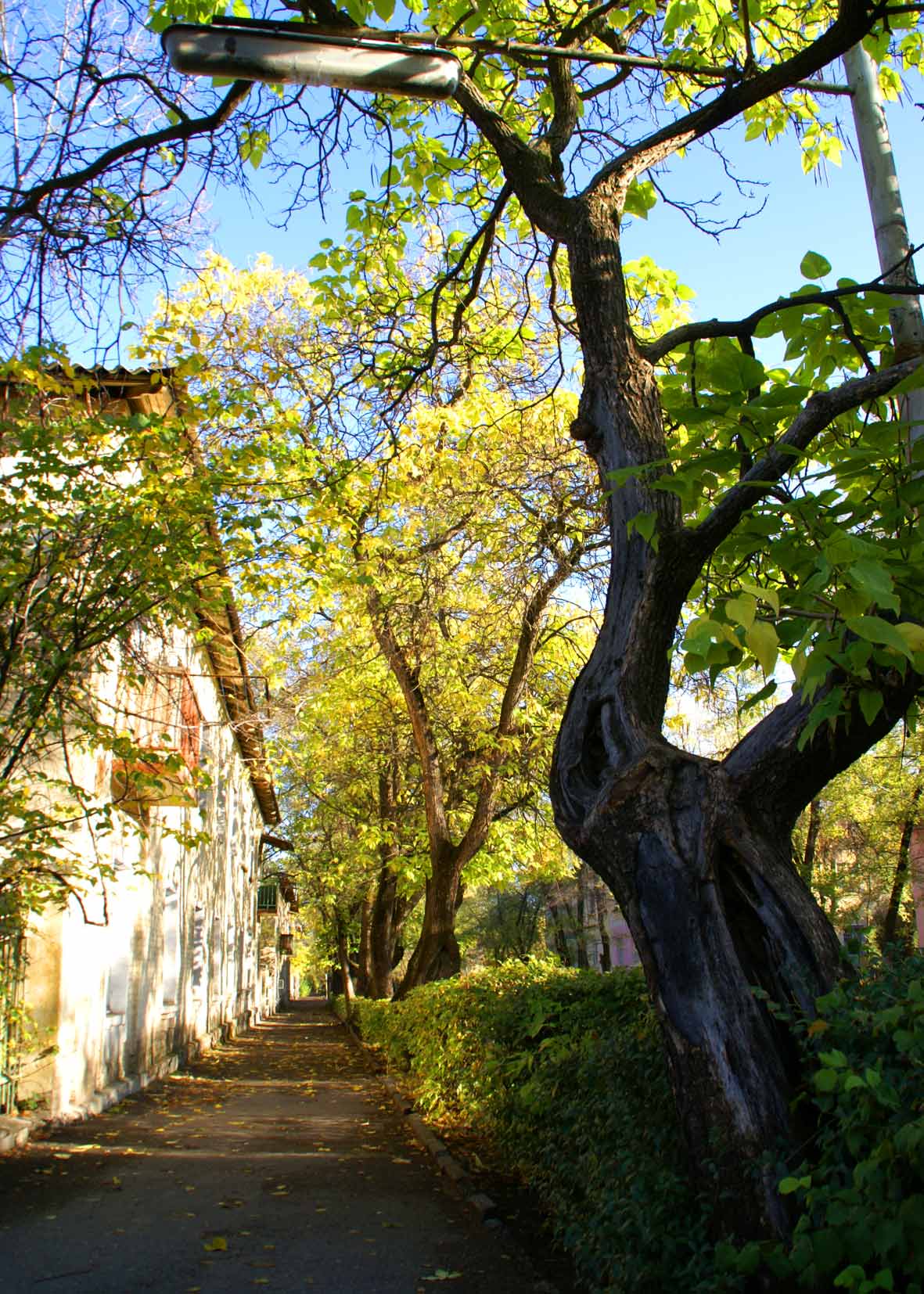 Город, осень, тротуар.