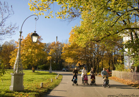 В Елагином парке