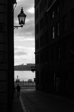 без аптеки днем