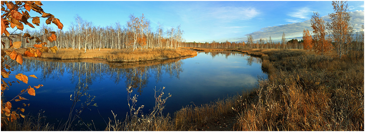 Осенние зарисовки 6