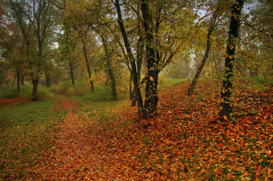 осенний коврик