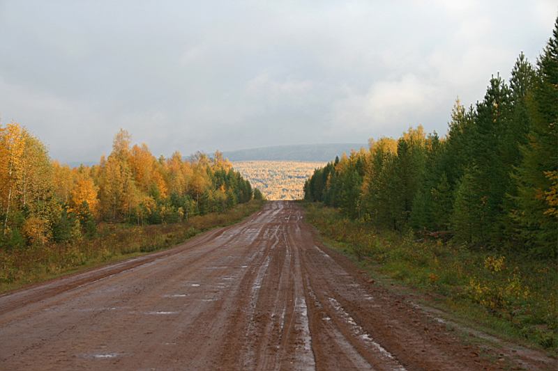 Дорога в осень..