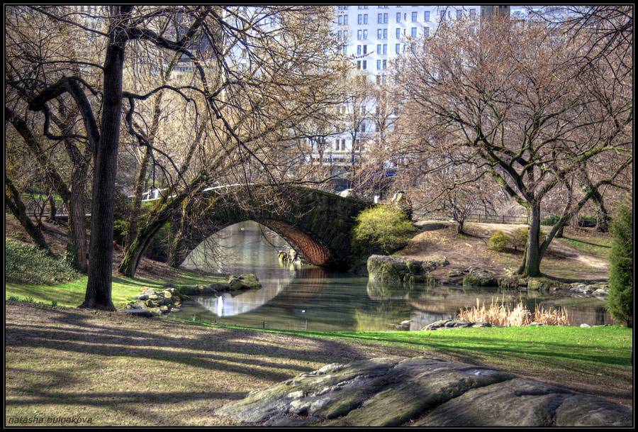 BRIDGE IN THE PARK