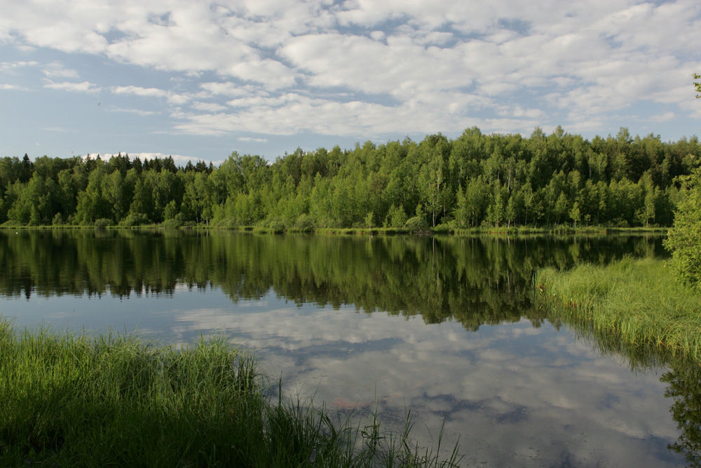 Красоты подмосковья