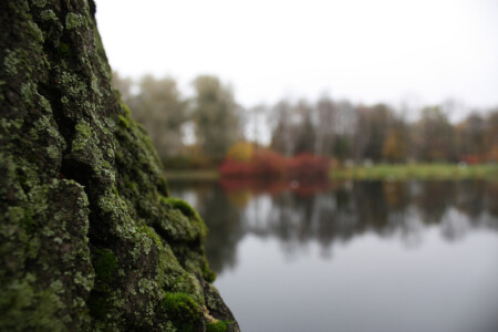 Следить за Осенью