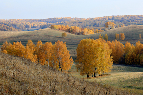 Осень-2008 №3