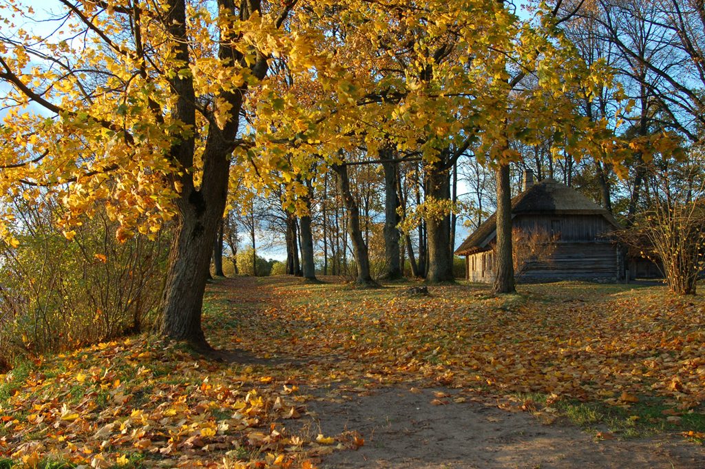 В старинном парке