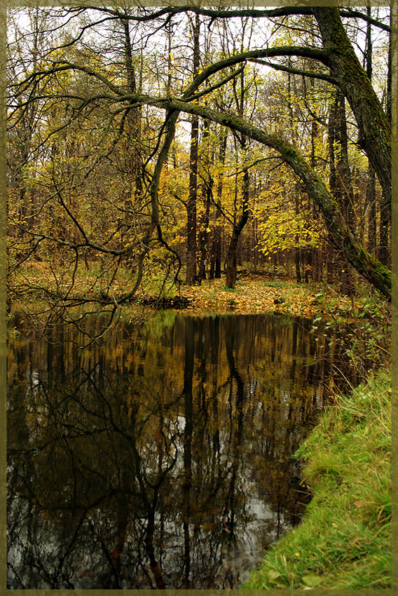 Осенний пруд.