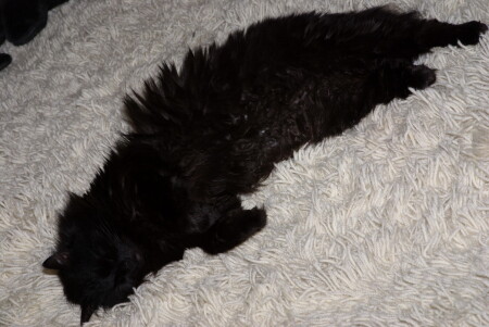 пушистый коврик