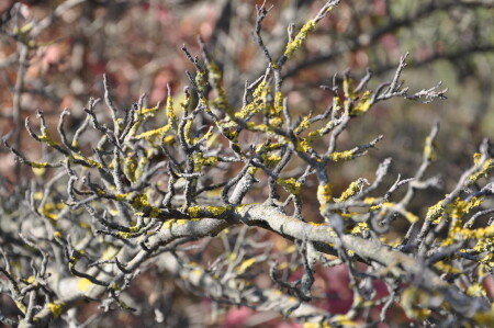 Проба нового Nikon D90