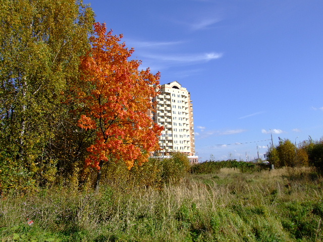 Сближение города и деревни