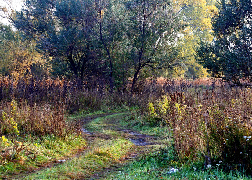 ОСЕНЬ