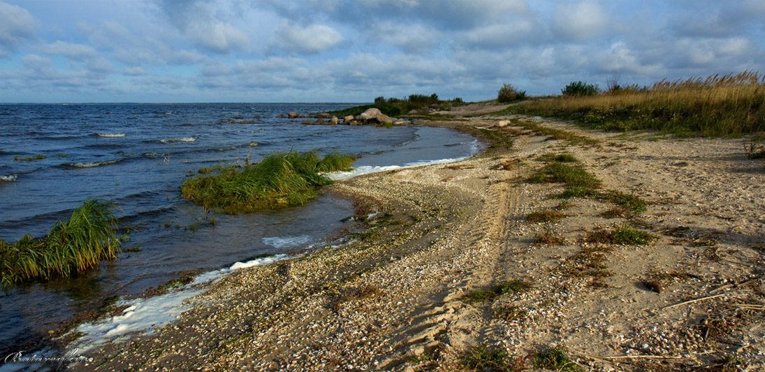 Осень на Чудском