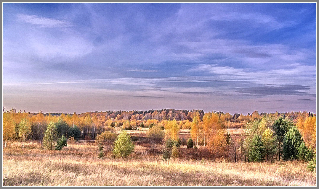 Краски осени