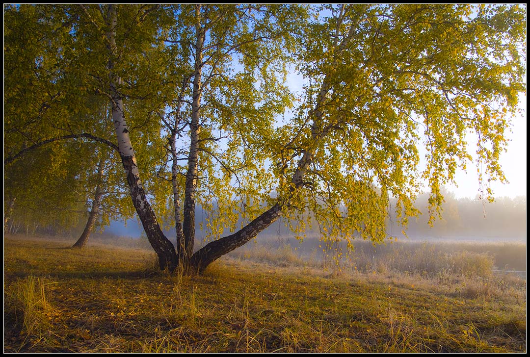 Рассвет.