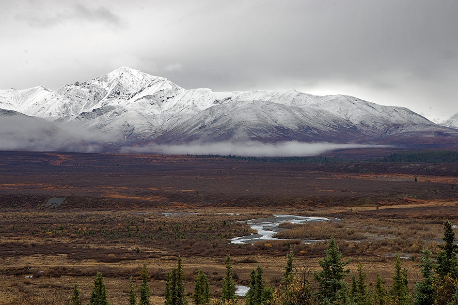 Denali Park