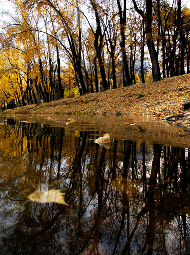 в парке осень