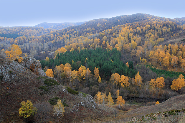 Осень-2008 №6