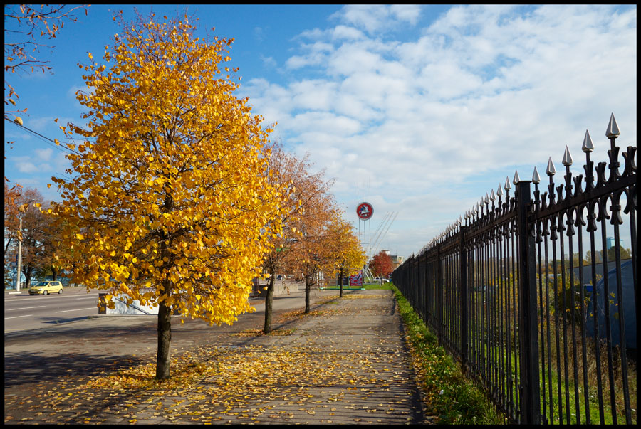 Осенние краски Москвы