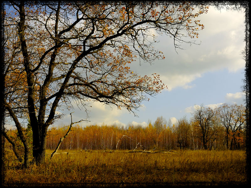 Осенний закат лета