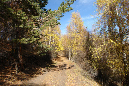 Осенняя дорога