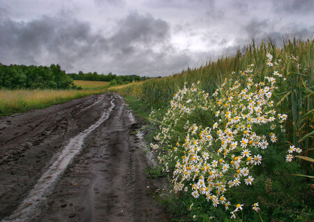 По проселочной дороге шел я молча…