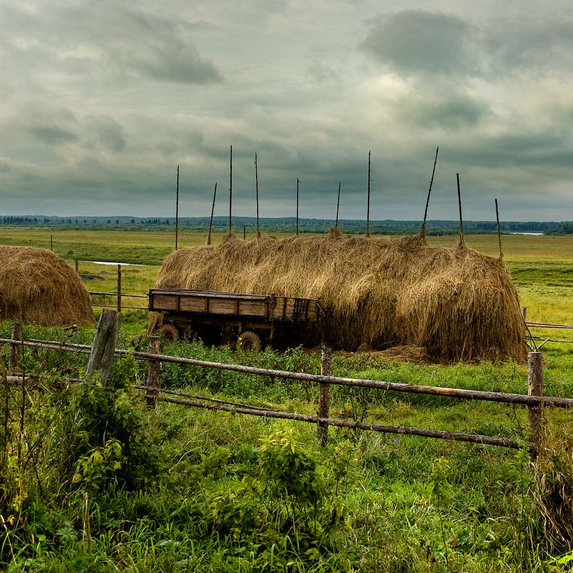 Перед грозой