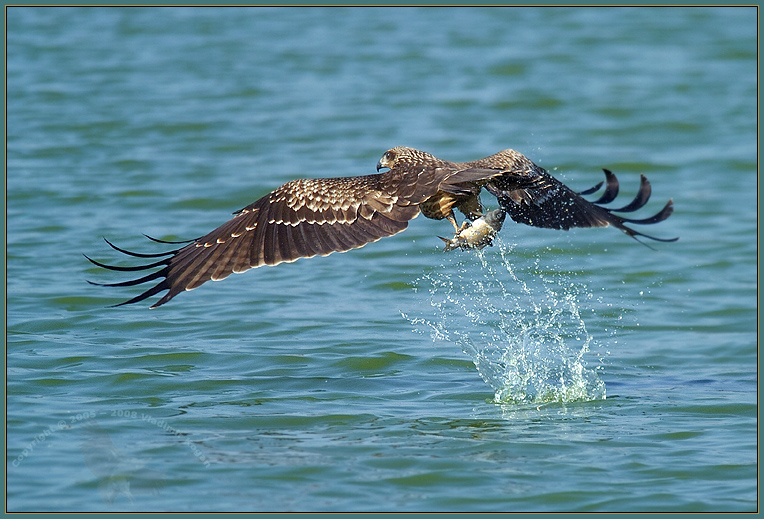 Fishing