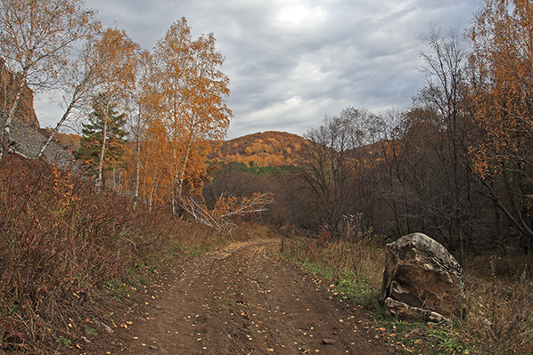 Осень-2008 №7