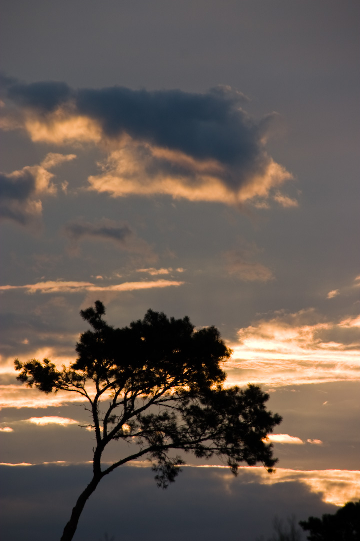 African Sky