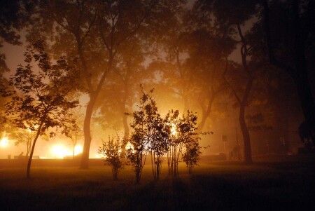 ночной бульвар