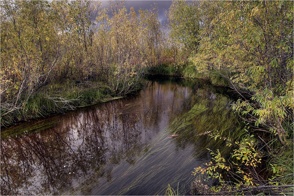 Несут воды осень в зиму.....