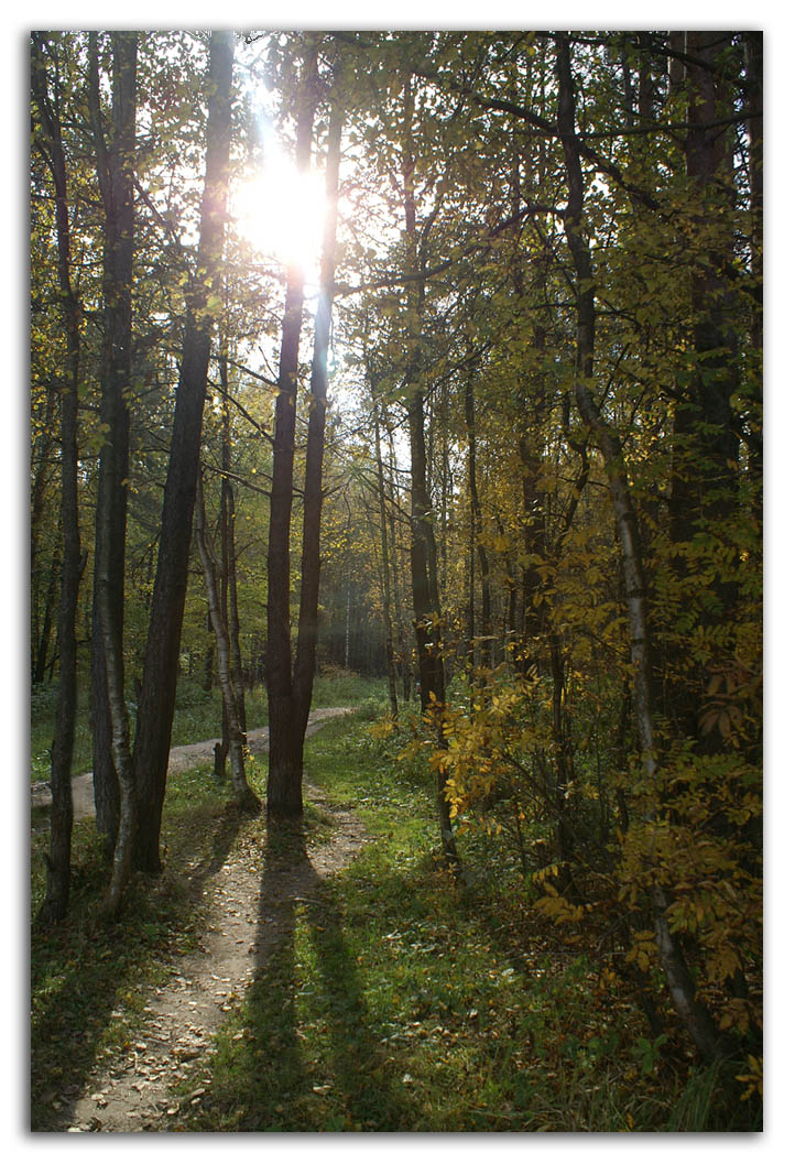 Осень. На прогулке...