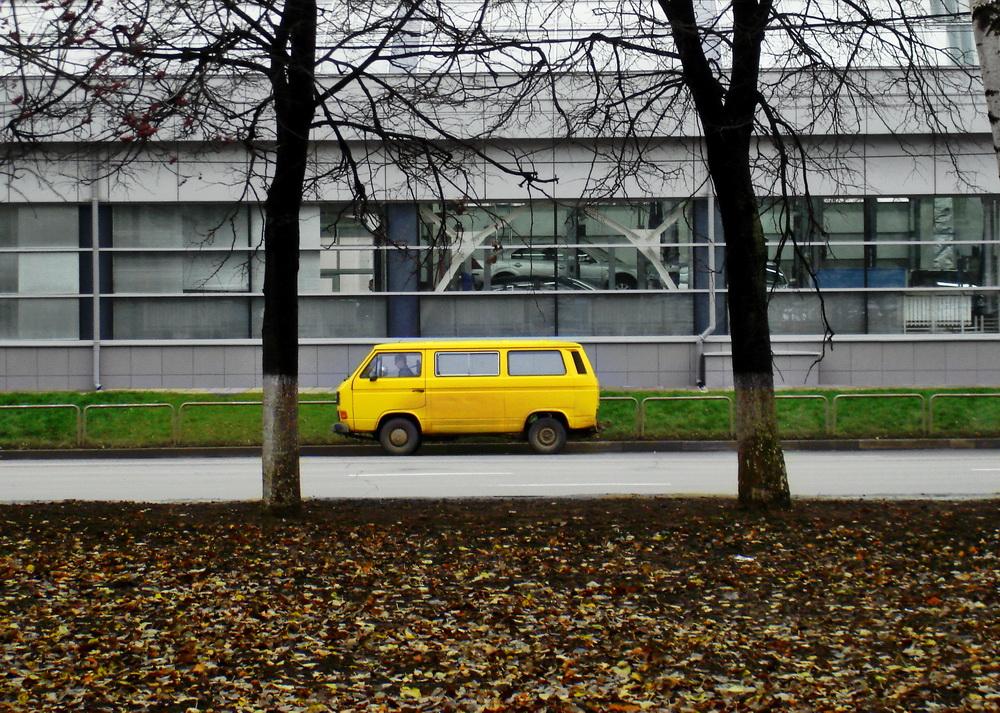 Яркое пятно среди серых осенних будней