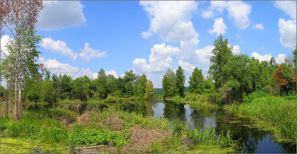 В царстве водяного