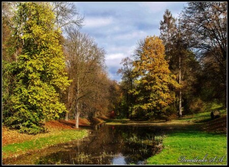 Осенняя гармония