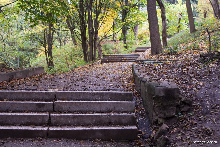 steps in forest