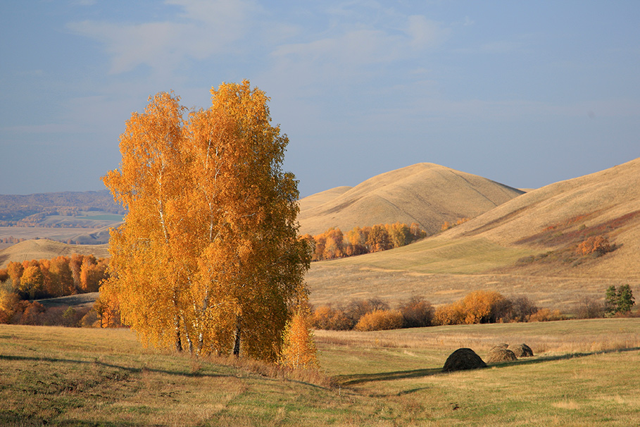 Осень-2008 №10