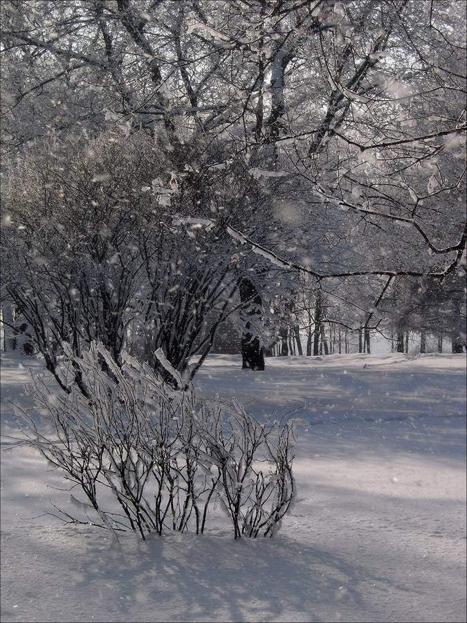 Про снежок